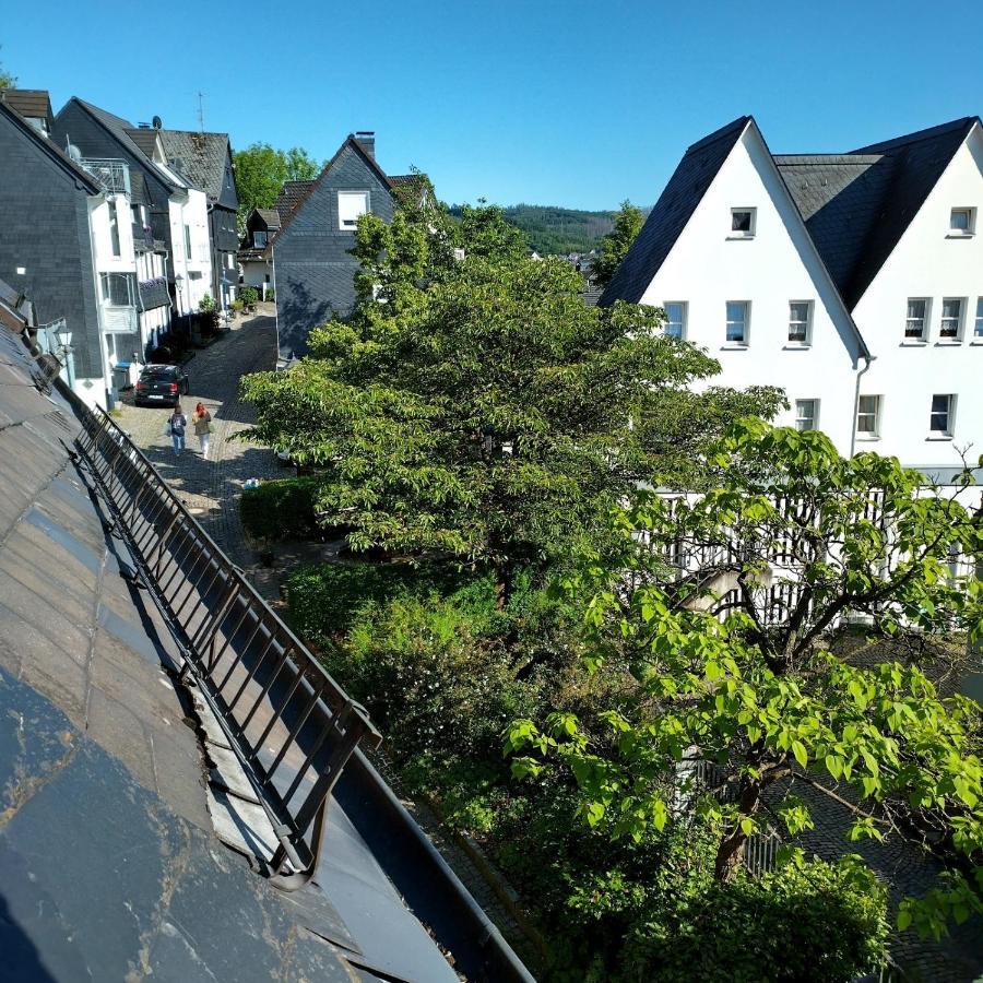 Rubens Haus Villa Siegen Bagian luar foto